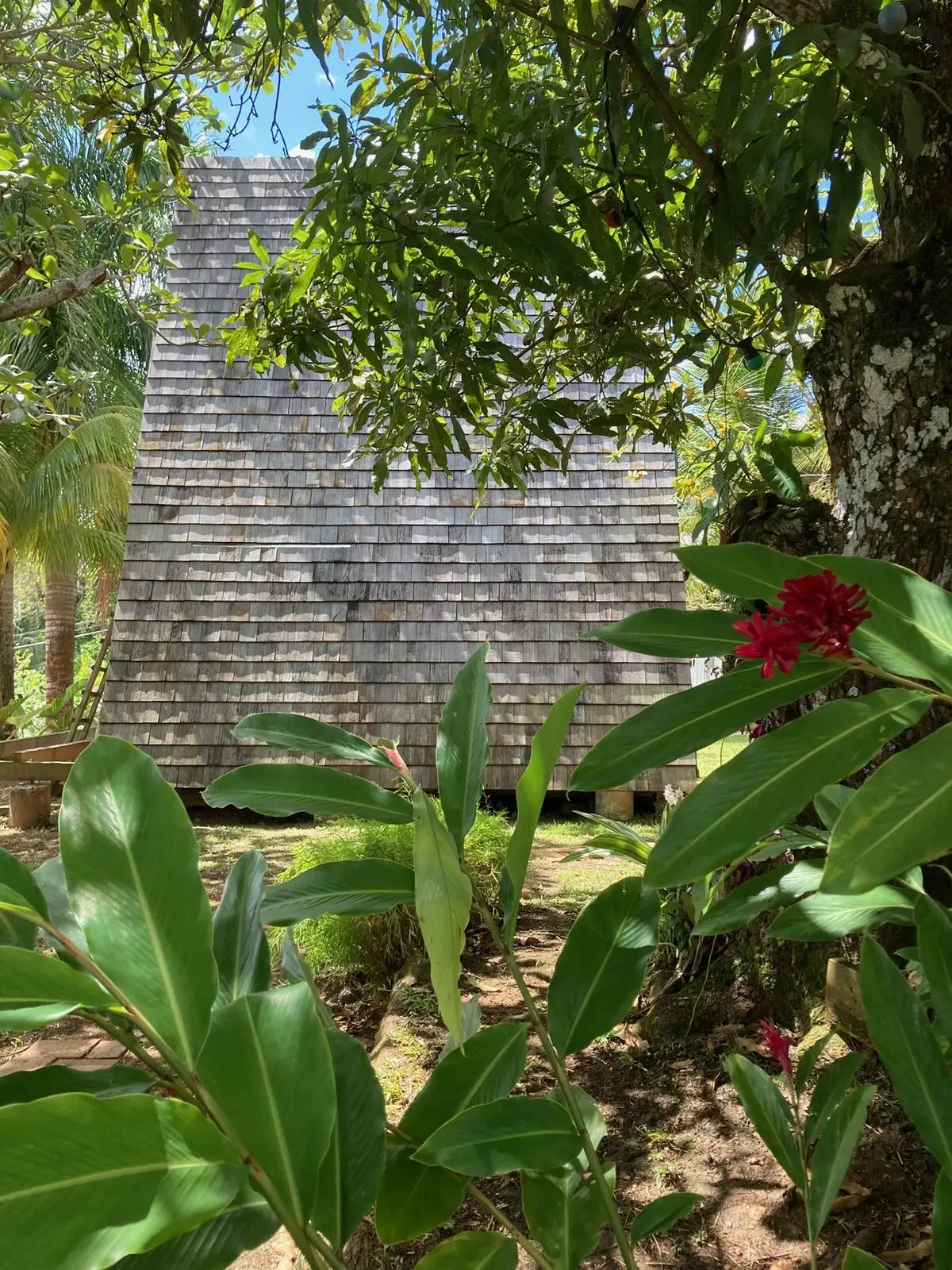 A-frame in the tropical garden, Sainte-Luce, Martinique
