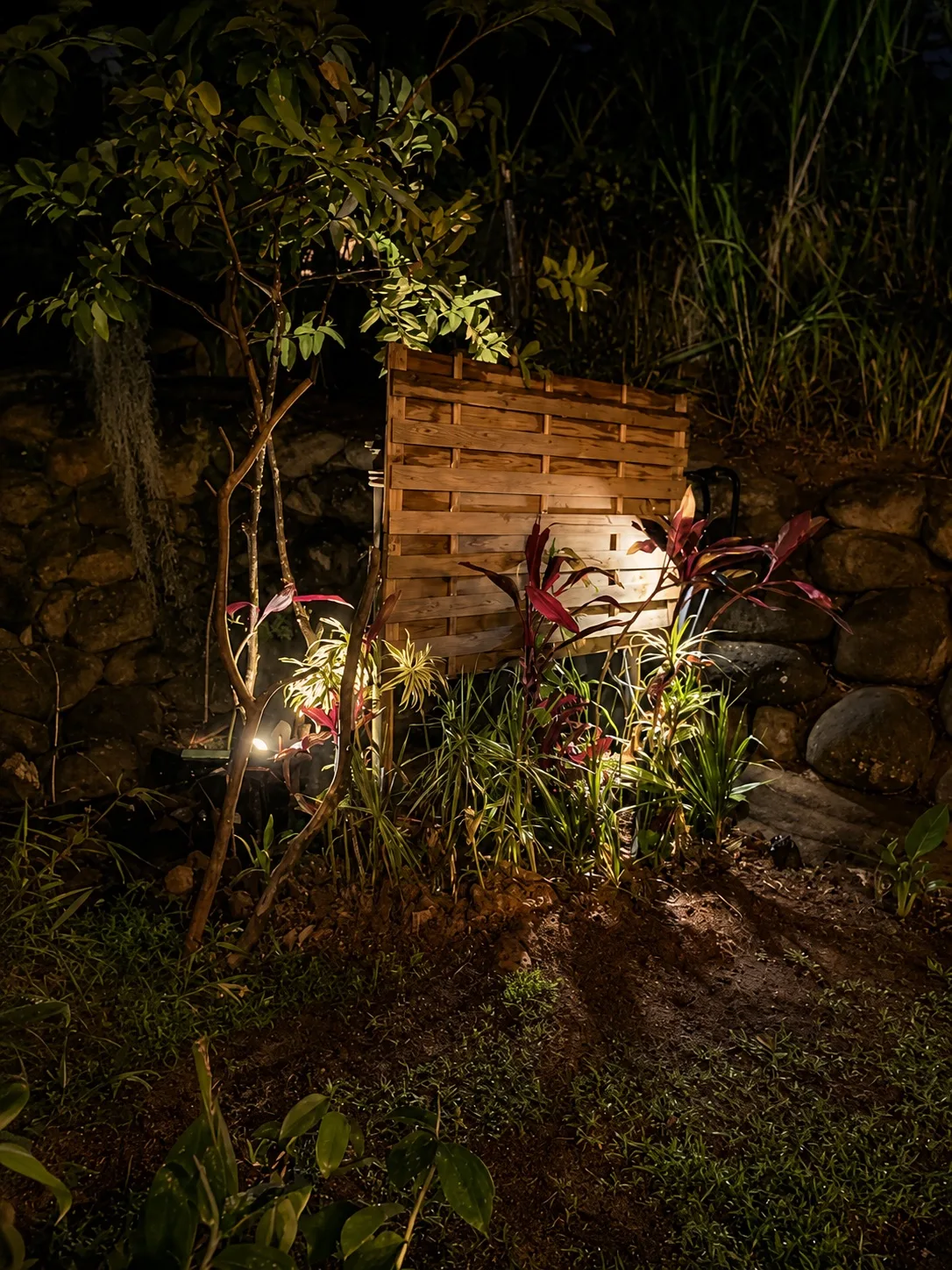 Douche extérieure et plantes tropicales éclairées la nuit aux Vendredis