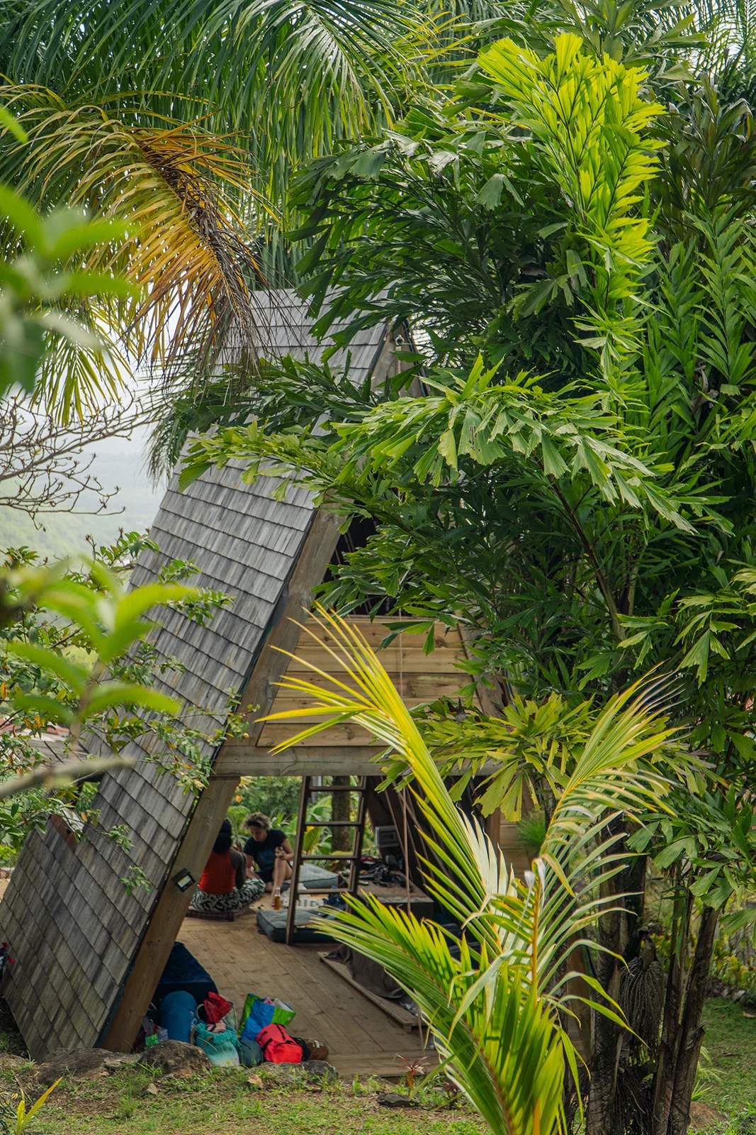 The A-frame seen through dense palms, Les Vendredis in Sainte-Luce