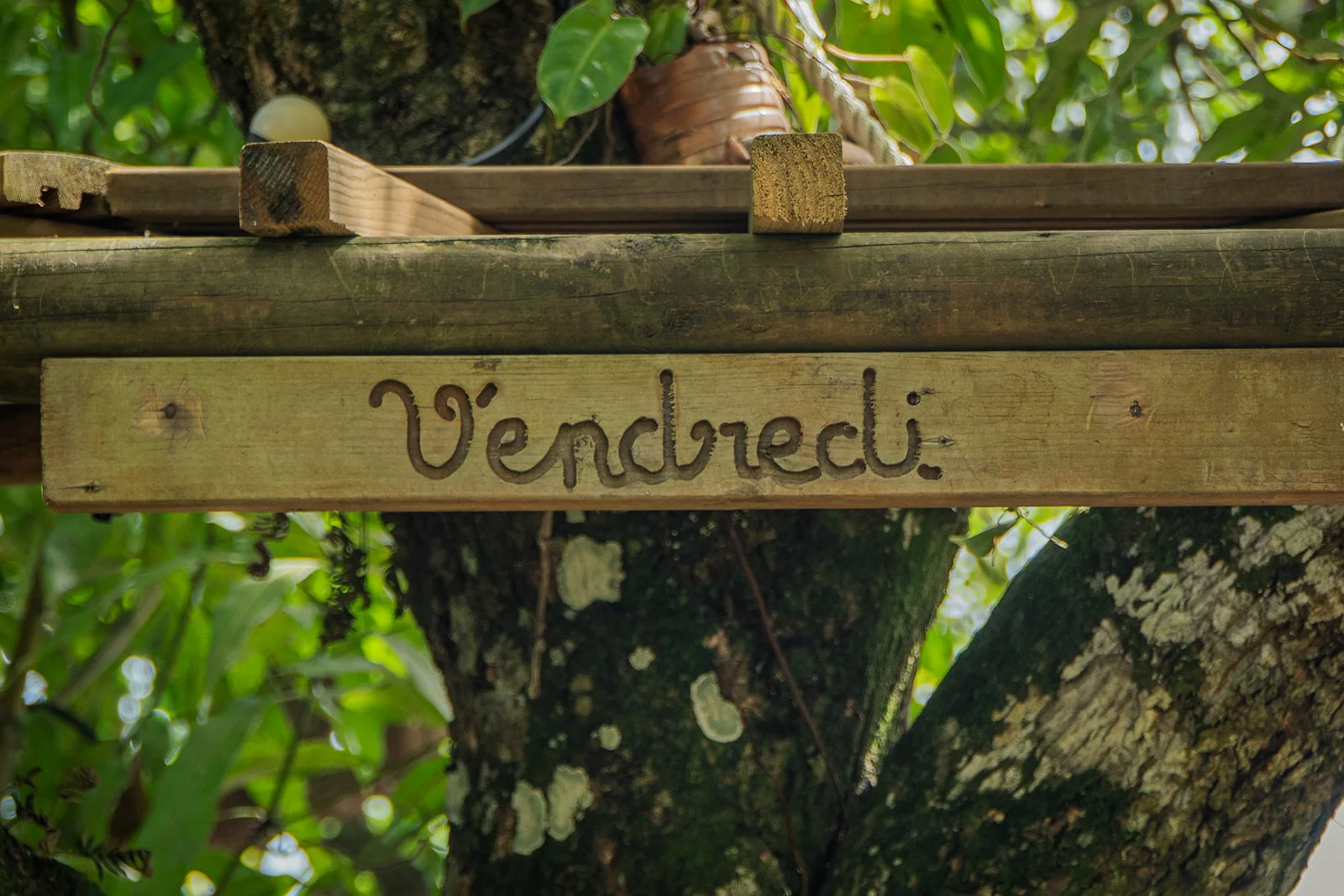 Hand-engraved wooden sign in the foliage